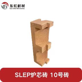˹(SLEP)¯¯оש-10ש