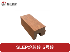 ˹(SLEP)¯¯оש-5ש